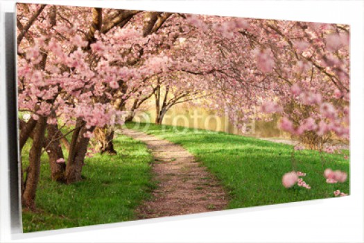 cartoon-wallpaper-22.jpg